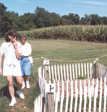 Arrow Maze, Belvedere Plantation, 1999