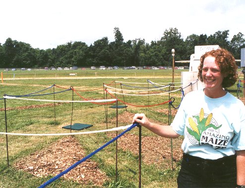 Color maze, Tanglewood 1999